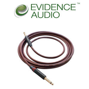 Evidence Audio Forte Forte FTSS10 Straight to Straight 에비던스오디오 케이블 3.05M